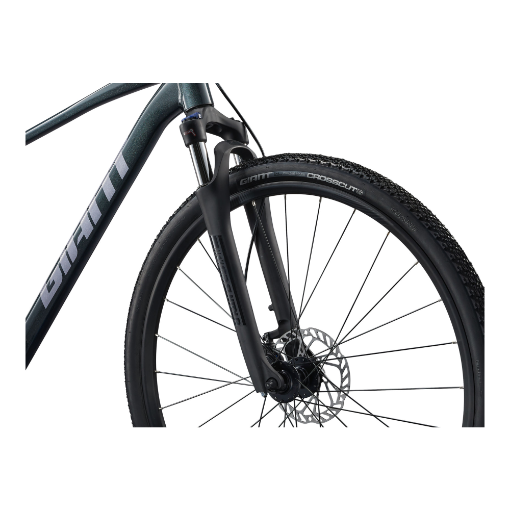 Jalgratas GIANT Roam 2, Asphalt Green - Pilt 4