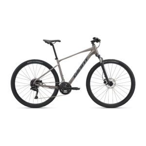 Jalgratas GIANT Roam 3, Metal