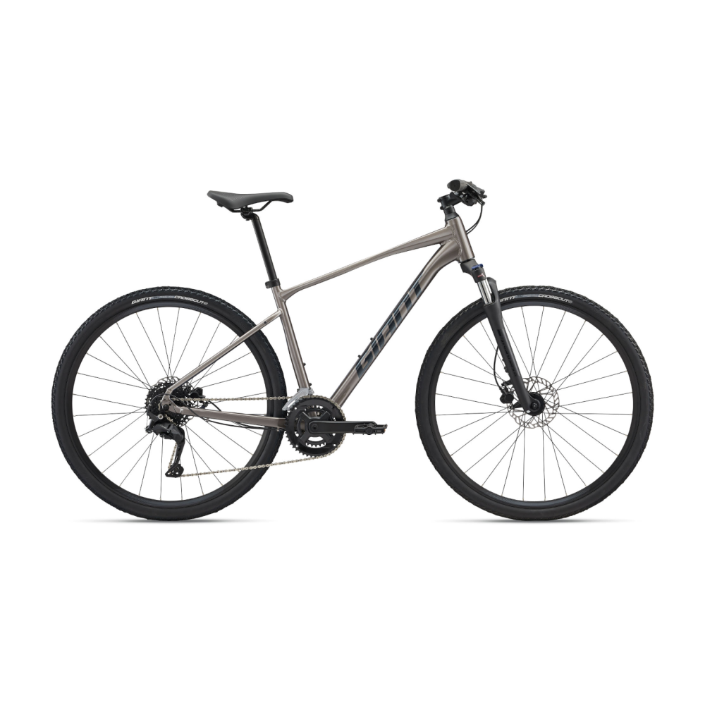Jalgratas GIANT Roam 3, Metal
