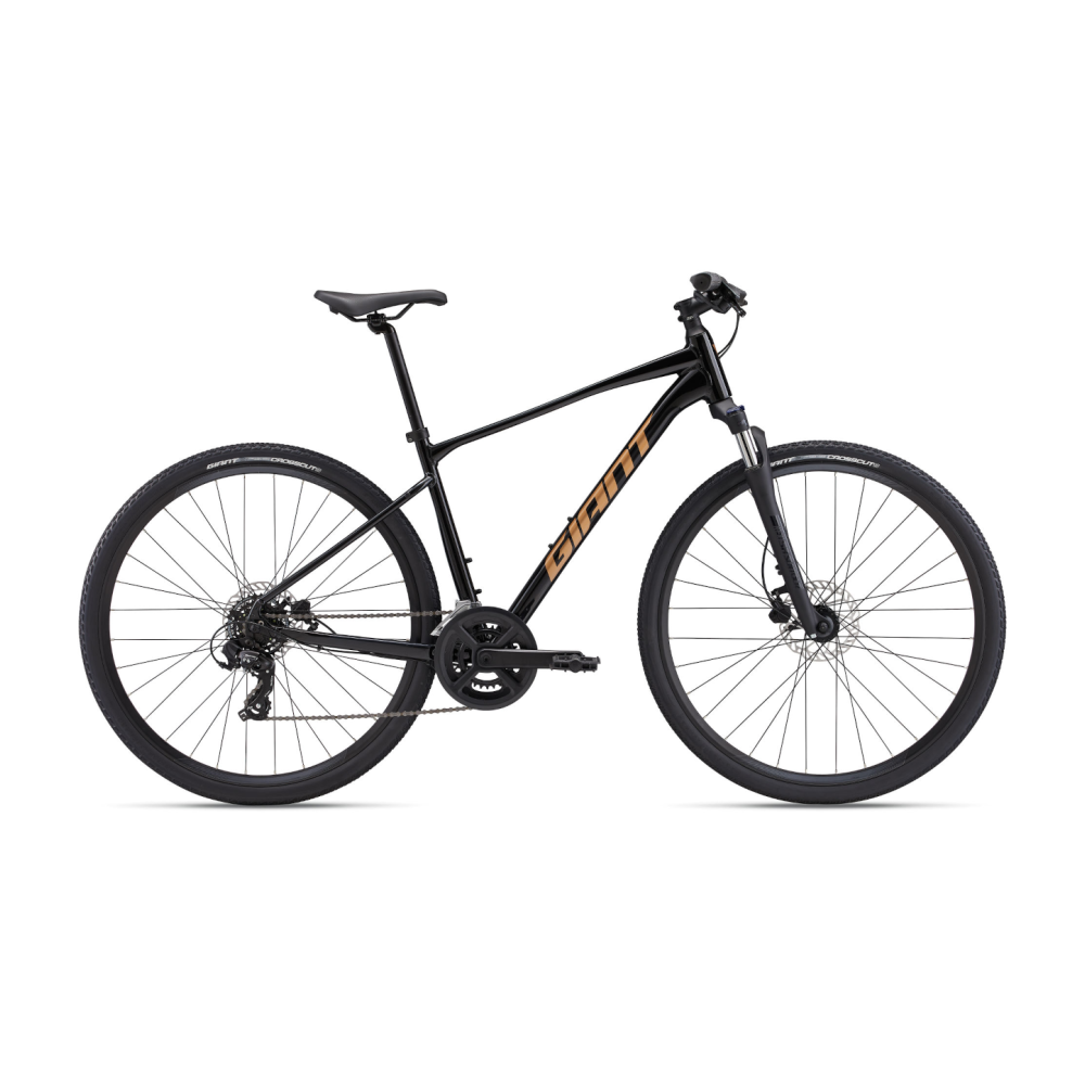 Jalgratas GIANT Roam 4, Black