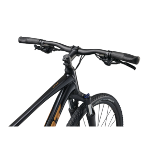 Jalgratas GIANT Roam 4, Black - Pilt 2