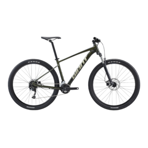 Jalgratas GIANT Talon 29 2, Phantom green