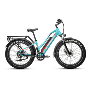 Elektrijalgratas JOBOBIKE Robin ST Green 14 LG