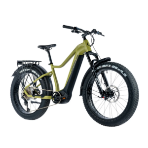 Elektriline fatbike LEADER FOX Brasa 26": Green (L)