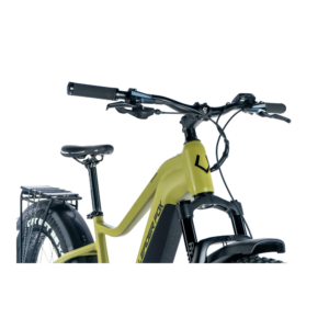 Elektriline fatbike LEADER FOX Brasa 26": Green (L) - Pilt 2