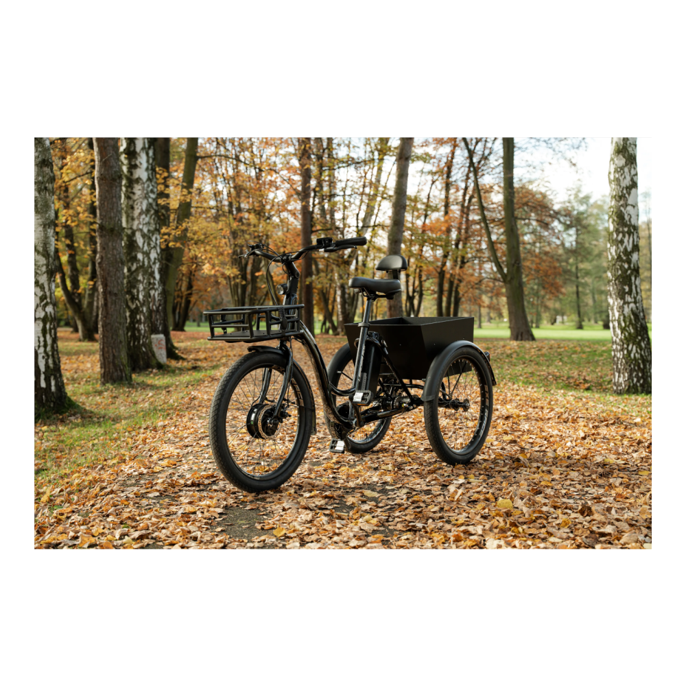 Kolmerattaline elektrijalgratas LEADER FOX Lovelo, Black - Pilt 6