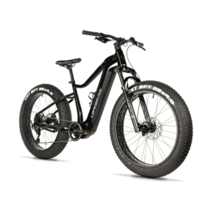Elektriline fatbike LEADER FOX Braga 26":  Black