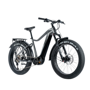 Elektriline fatbike LEADER FOX Brasa 26": Grey
