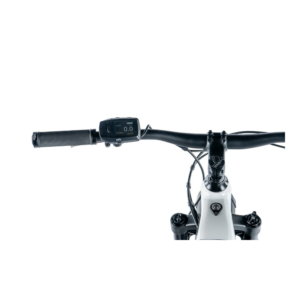 Elektriline fatbike LEADER FOX Brasa 26": White - Pilt 3