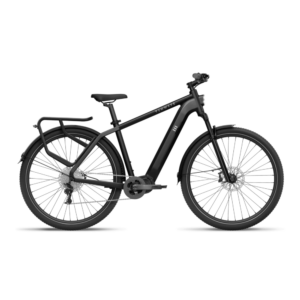 Elektrijalgratas TENWAYS AGO X, 29" Midnight Black (M)