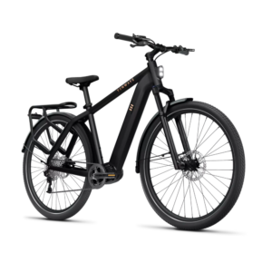 Elektrijalgratas TENWAYS AGO X, 29" Midnight Black (M) - Pilt 2