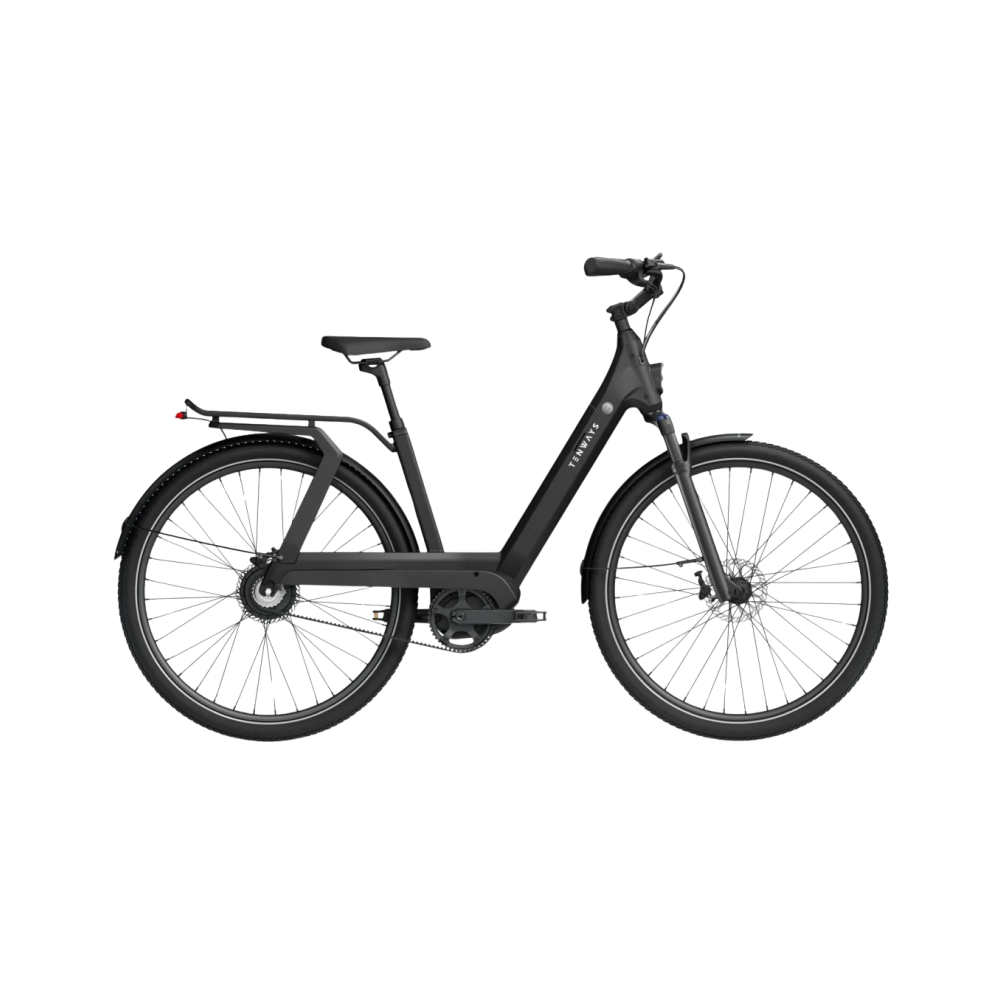 Elektrijalgratas TENWAYS AGO T, Black
