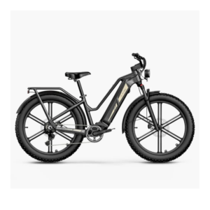 Elektrijalgratas FIIDO Titan, Grey