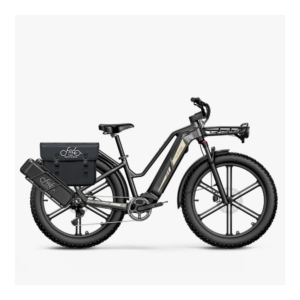 Elektrijalgratas FIIDO Titan, Grey - Pilt 5