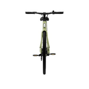 Elektrijalgratas TENWAYS CGO600 Pro, Avocado Green - Pilt 4