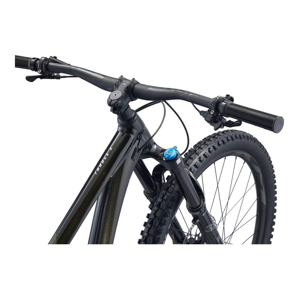 Maastikuratas GIANT Trance X 29 1, Panther - Pilt 3