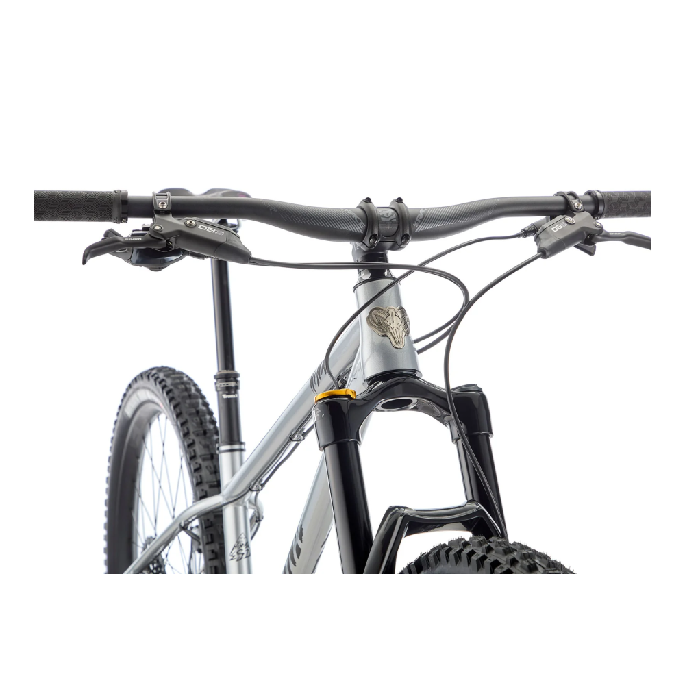 Jalgratas KONA Honzo ESD, 29" Gloss Faux Chrome (Silver) - Pilt 5
