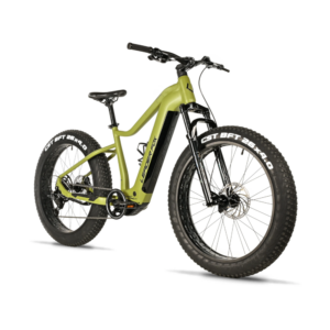 Elektriline fatbike LEADER FOX Braga 26": Green