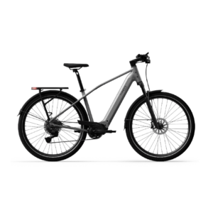 Elektrijalgratas TENWAYS AGO X Special Edition, 29" Silver