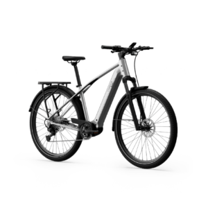 Elektrijalgratas TENWAYS AGO X Special Edition, 29" Silver - Pilt 2