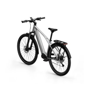 Elektrijalgratas TENWAYS AGO X Special Edition, 29" Silver - Pilt 3