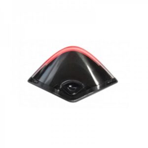 Fizik Lumo tagatuli