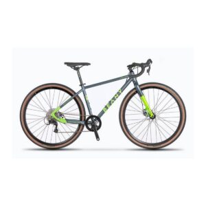 Beany Pulse 700c (raam 15 tolli) gravelbike – grey