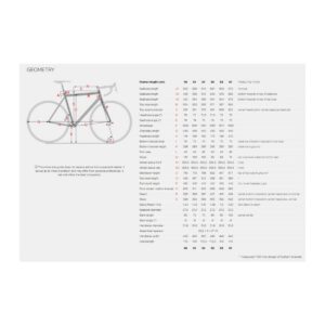 Stevens Tabor gravelbike – earth green - Pilt 4