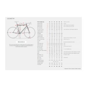 Stevens Cross Camino Pro 1×11 gravelbike 56cm – vogue silver - Pilt 5