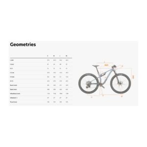 Wilier Urta MAX SLR (XT 1×12 / KASHIMA / K6) maastikuratas L – helehall - Pilt 2