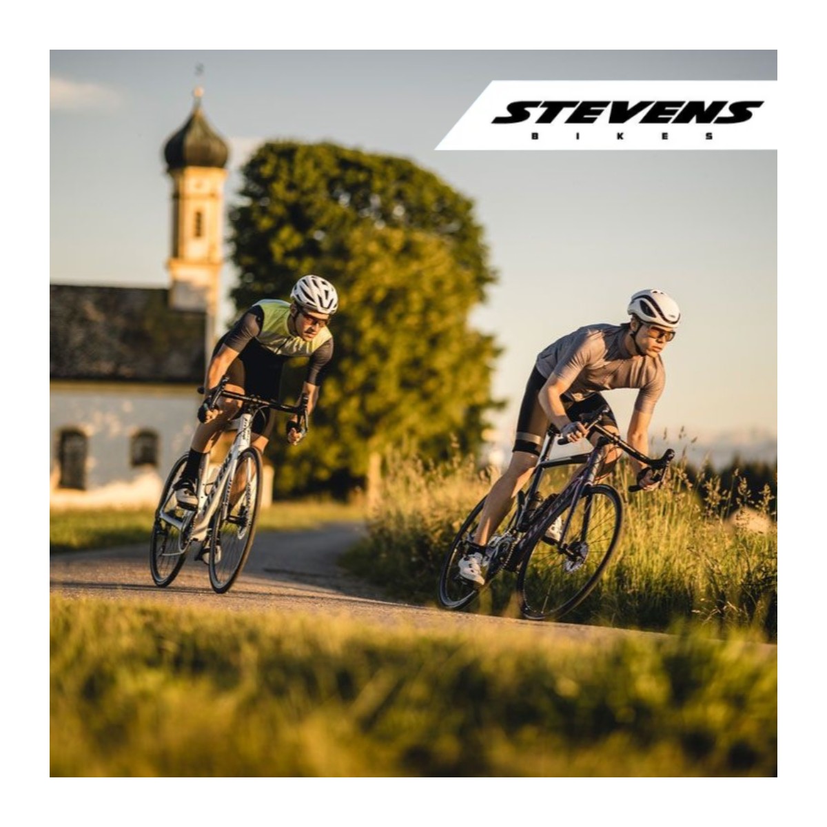 Stevens Izoard (R7120 2×12) maanteeratas – golden grey - Pilt 3