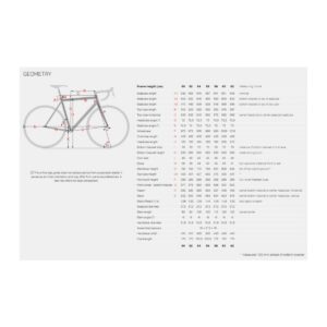 Stevens Izoard (R7120 2×12) maanteeratas – golden grey - Pilt 5