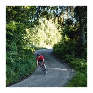 Stevens Stelvio maanteeratas – red currant - Pilt 3