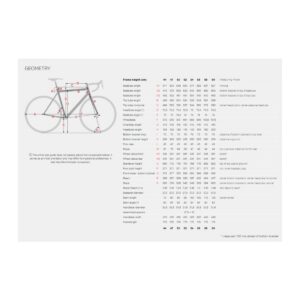 Stevens San Remo maanteeratas 54cm – stealth black blue - Pilt 4