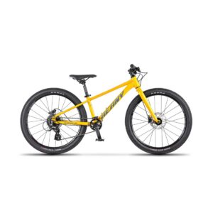 Beany Blaster XC 20 lasteratas – kuldne