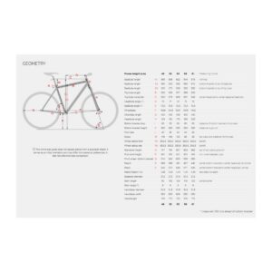 Stevens Strada 800 hübriidratas 55cm – frozen silver - Pilt 5