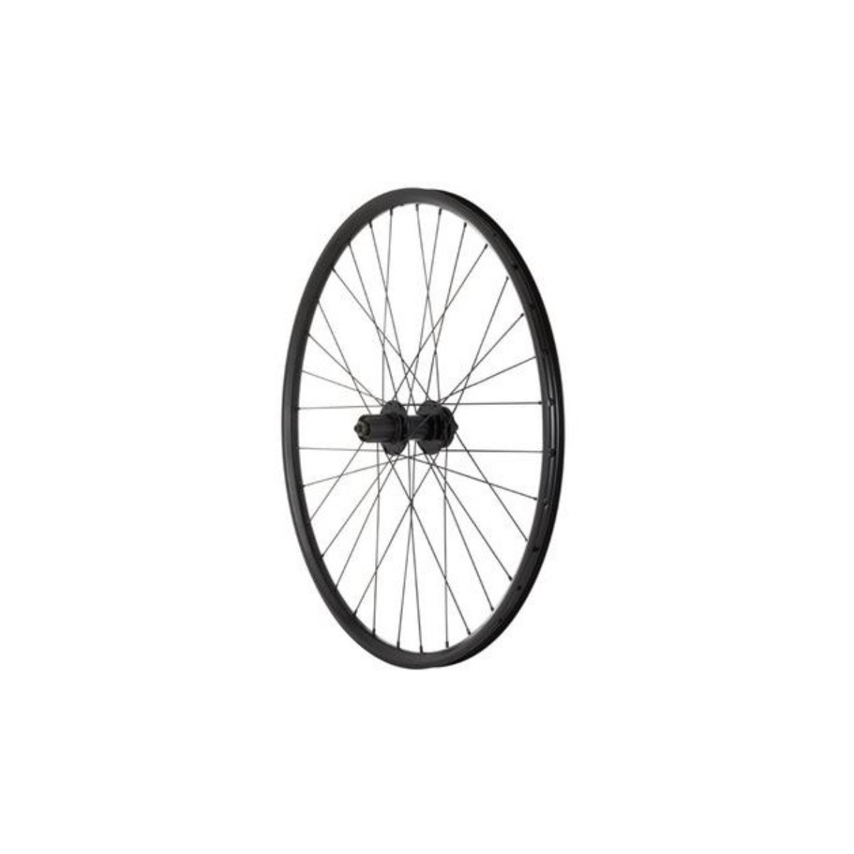 Adriatica 6polt Disc 26″ tagajooks QR, kassetile – must