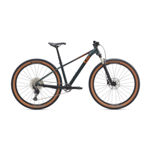 Noorte jalgratas LIV Tempt 0, 27,5" XS, Asphalt Green