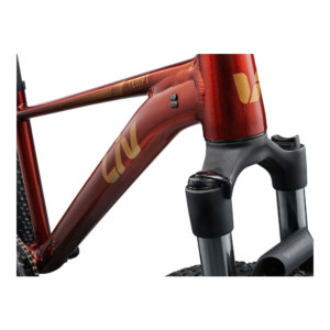 Noorte jalgratas LIV Tempt 2, 27,5" XS, Mars Dust - Pilt 7