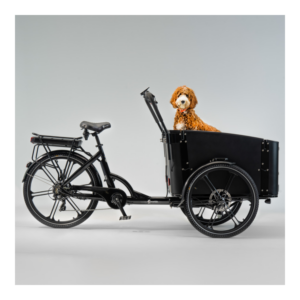 Elektriline kastiratas CARGOBIKE of SWEDEN Flex Dog