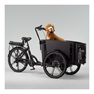 Elektriline kastiratas CARGOBIKE of SWEDEN Flex Dog - Pilt 3