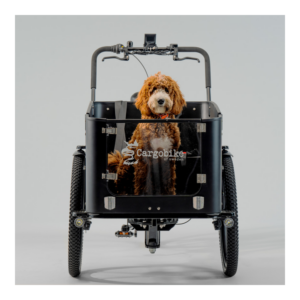 Elektriline kastiratas CARGOBIKE of SWEDEN Flex Dog - Pilt 4