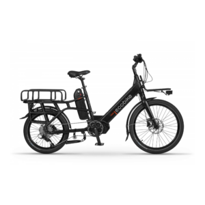Elektrijalgratas ECOBIKE Cargo - Pilt 3