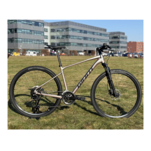Jalgratas GIANT Roam 3, Shell White