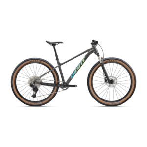 Jalgratas GIANT Talon 29 0 (2027) Stealth Chrome