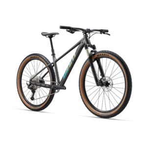 Jalgratas GIANT Talon 29 0 (2027) Stealth Chrome - Pilt 2