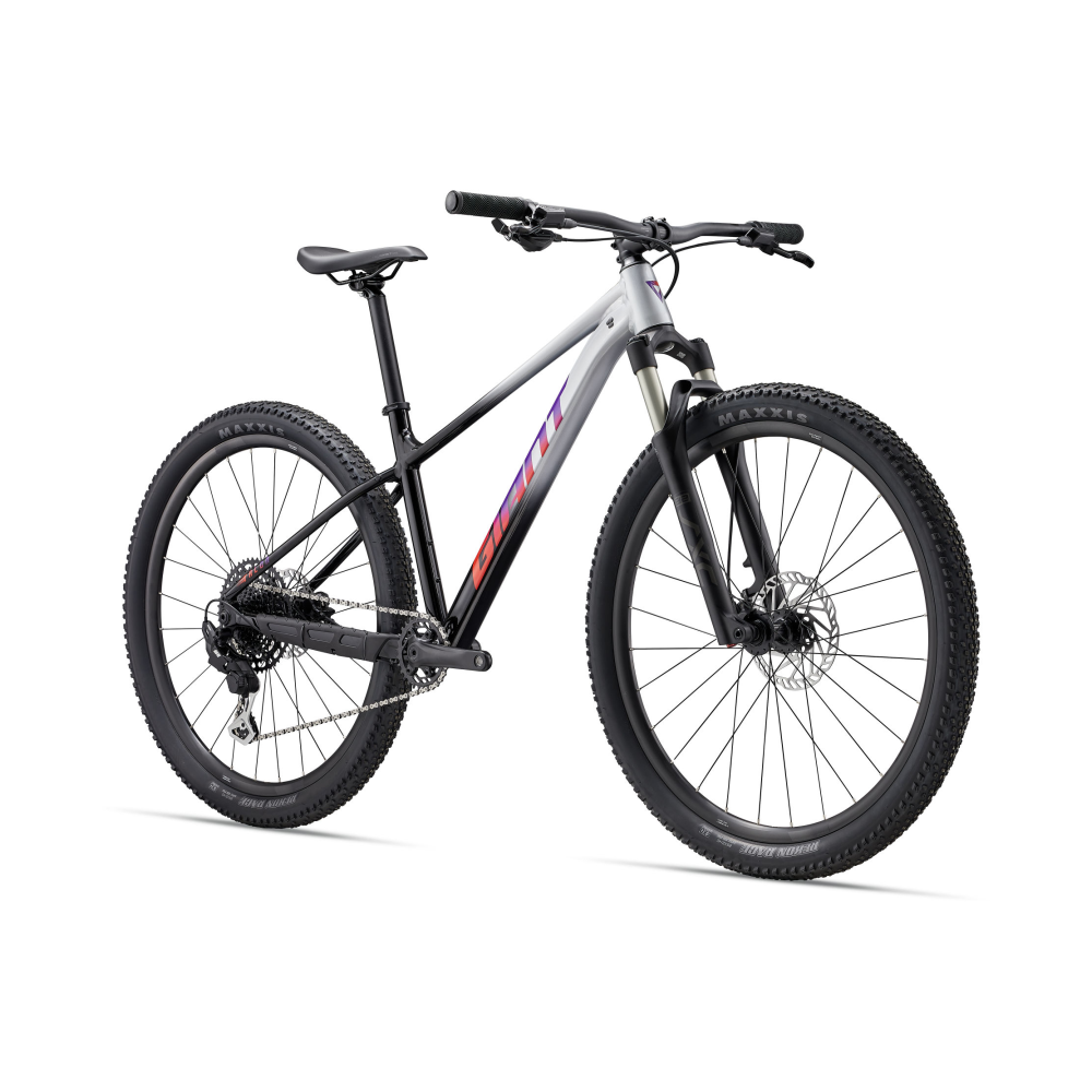 Jalgratas GIANT Talon 29 1 (2027) Grey/Black - Pilt 2