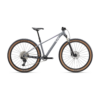 Jalgratas LIV Tempt 0 (2027) 29" Stardust Grey
