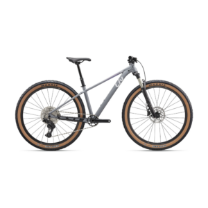Jalgratas LIV Tempt 0 (2027) 29" Stardust Grey