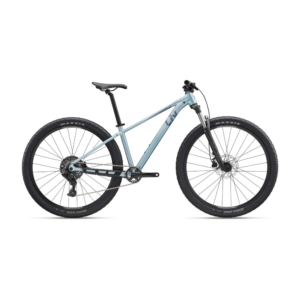 Jalgratas LIV Tempt 2 (2027) 29" Cryo Silver
